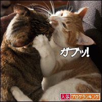 人気ブログランキングへ